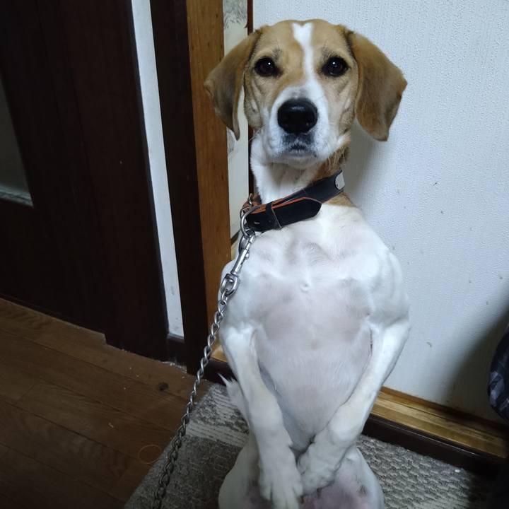 768f5d3a 4870 483b bf6d 77ad025c698a 1638539301523