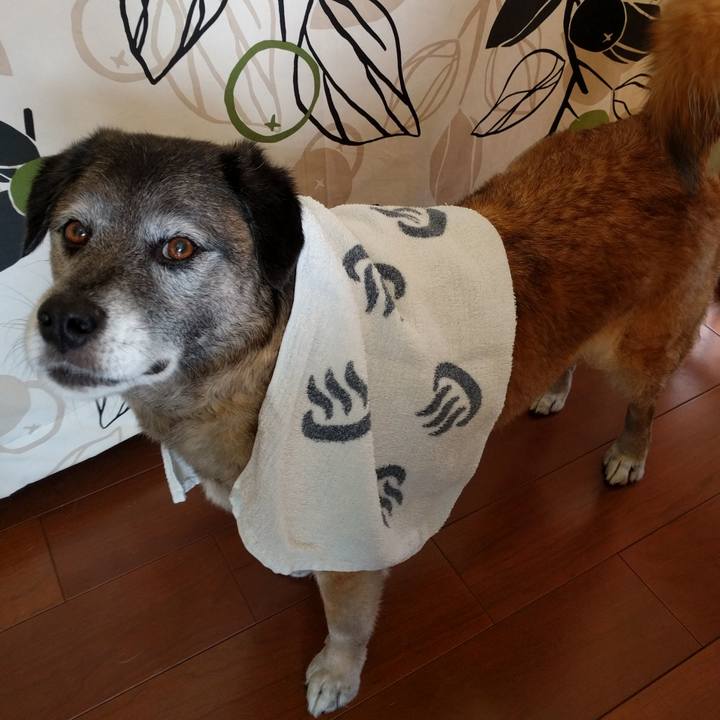 768fcc44 55b9 44d3 89b7 0546bf304d8d 1522371952328