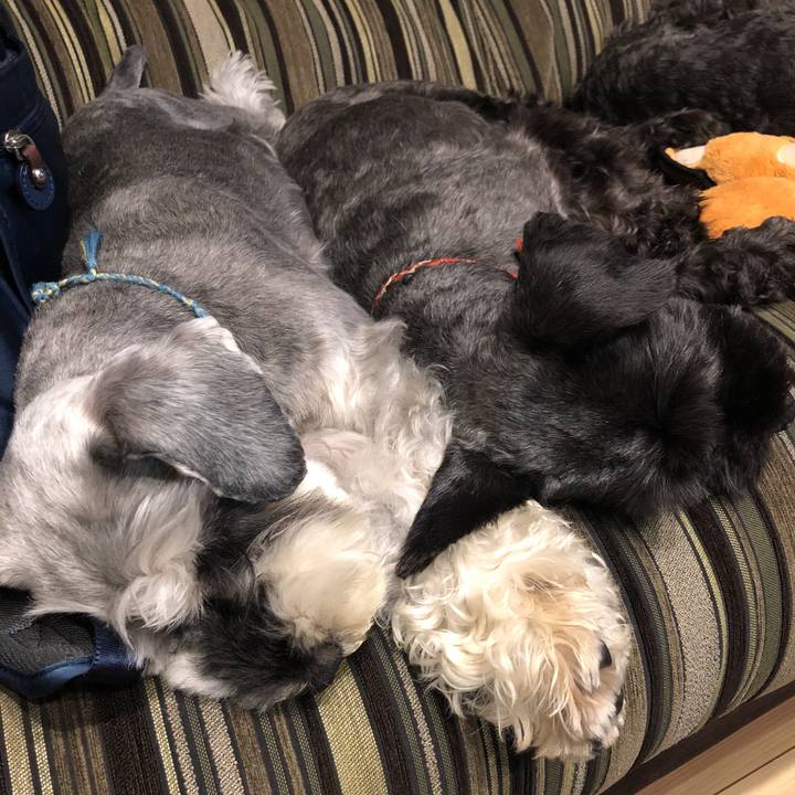 768fcfae b059 4dd6 a55f 9666c33c0826 1530019734995