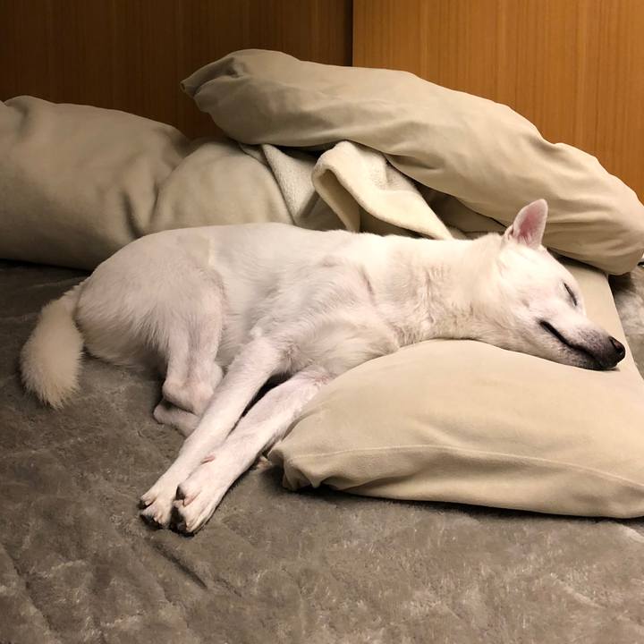 76900e5a ba38 48a7 9e86 4b7d3a987019 1582730132900