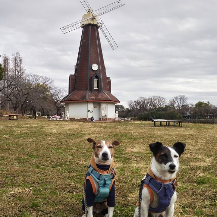 76905064 7f83 48d6 acfb f8ddbd216e53 1766797480685