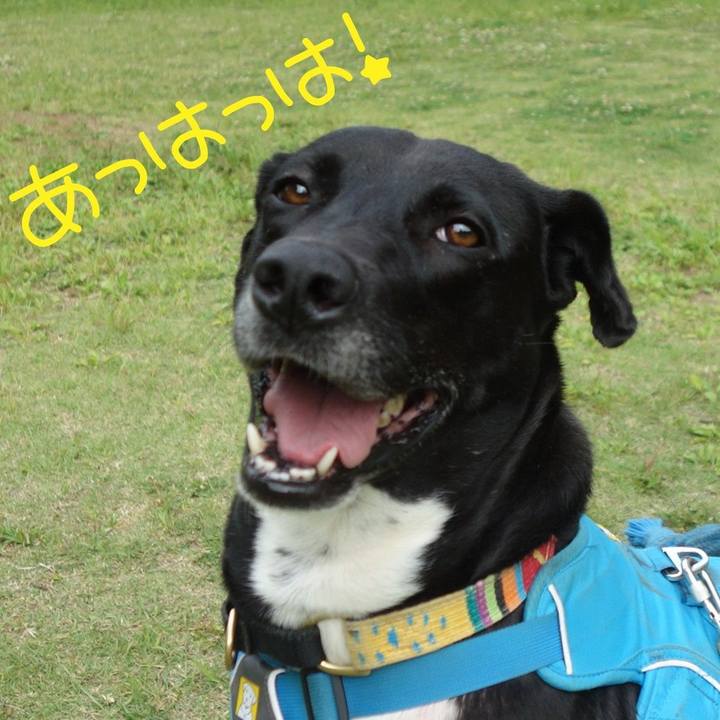 769062b3 688a 482c b920 270bcd7b1386 1620348256008