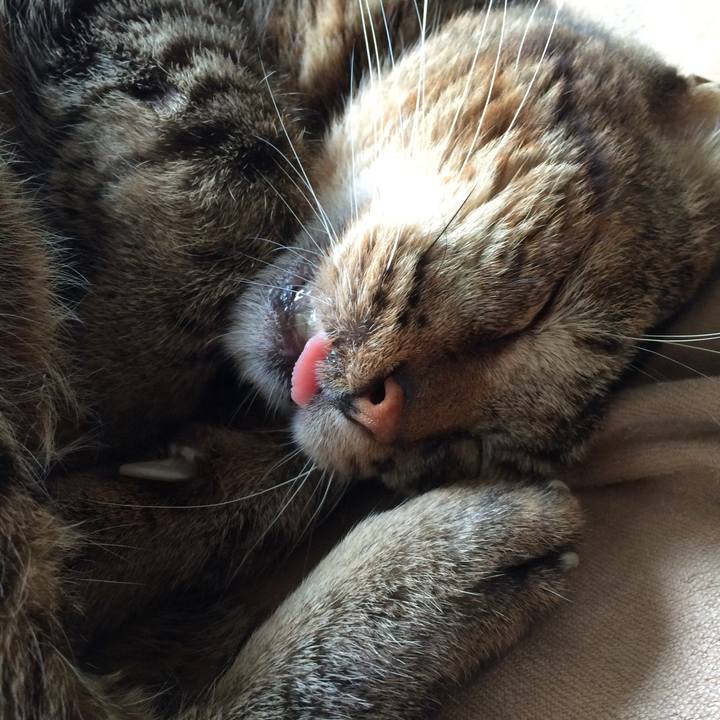 76906515 a035 486d be3e ea34c043d9bd 1508857204411