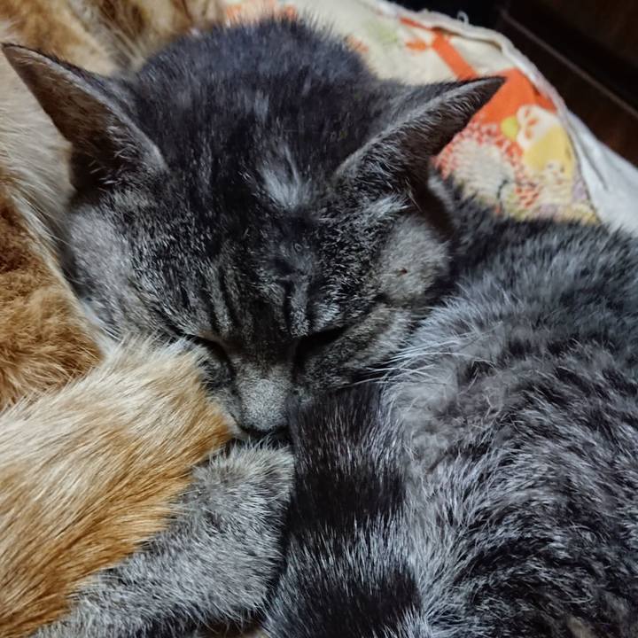 76908a74 300f 4c93 b5d3 1db08fbf930d 1578058039912