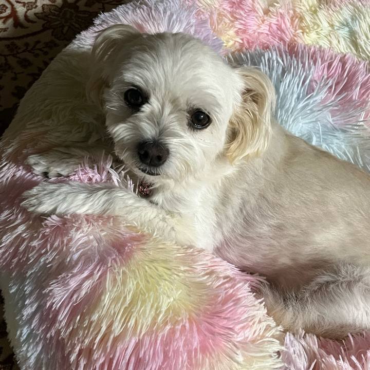 76908e90 e6f4 4bcb 905d c10a1ae1fef0 1664711677504