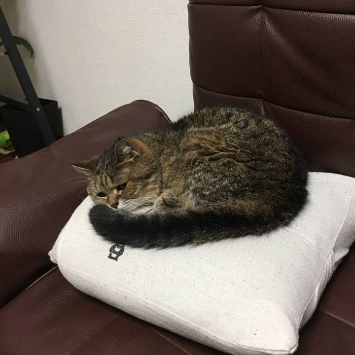 7690b22e 8cc0 4b26 9423 90c49a6577bb 1507978198575