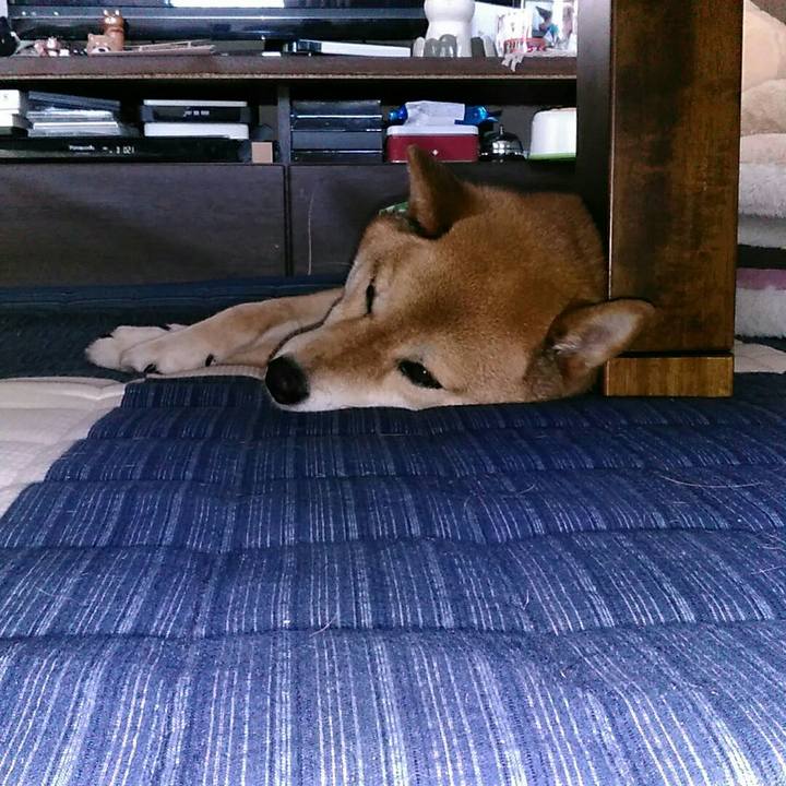 7690e7a0 904b 4ab8 a76c 76b62065cc88 1559801521329