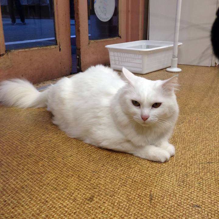 7690e9f9 8f70 43c8 ba23 89f9b64096ba 1507939687246