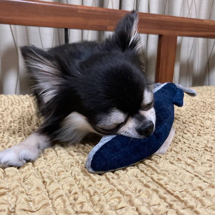 7690fb6a 1dd4 453b 9c85 a7450cf444a7 1653745646260