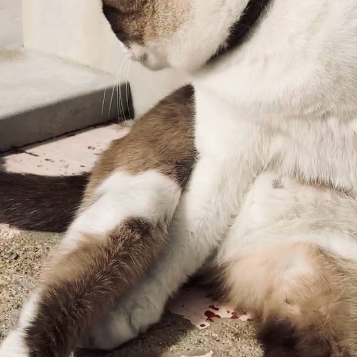 7691059f c834 47ad a60d 07d98d02c651 1729740186773