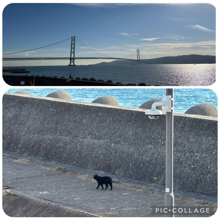 76919dda 58b9 4d6f a666 0b7989eb7ddc 1766222235143