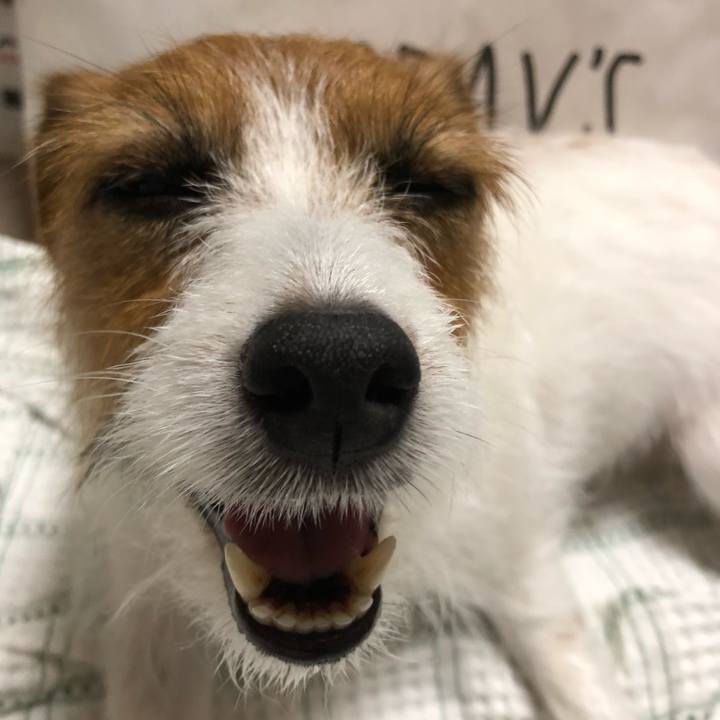 7691a77a 01eb 46dd ac22 5ab1c5872ff6 1530543328158