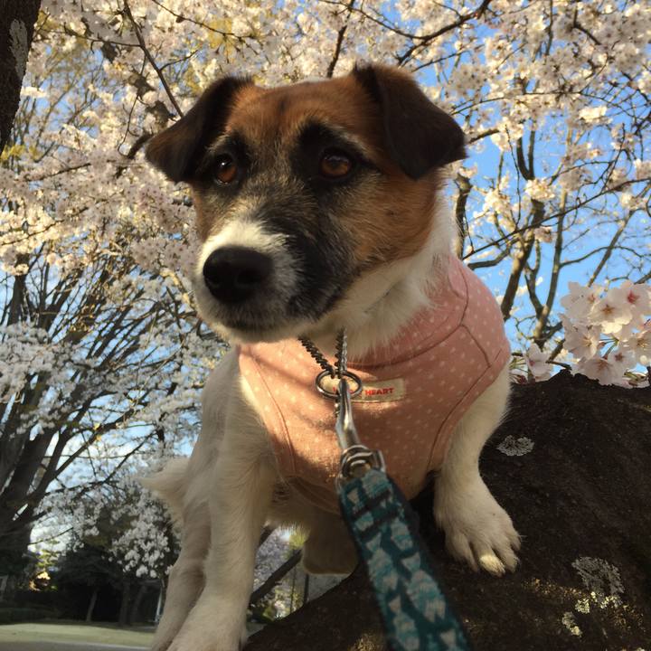 7691fc8b 5378 4634 9318 6fc6074f50dd 1554422016021