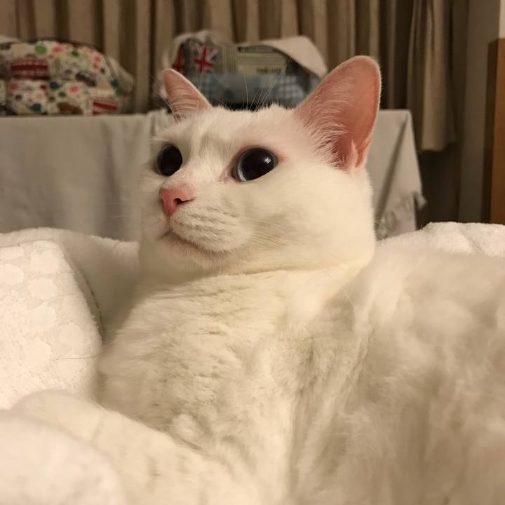 76921f8e a90a 42d4 a03e 96a3fa47ce8b 1509209505940