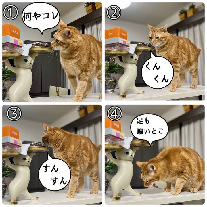 7692a146 57b9 4254 9b74 d286603c8dba 1680127315009