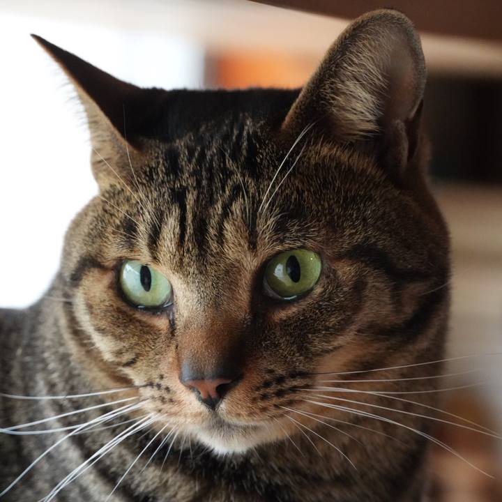 7692a939 a94e 48fd 98c4 310b1fc389d0 1741483608389