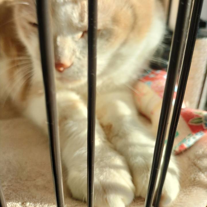 7692ad1c 9a5d 4aa1 a0fb 4c4f04d676bd 1633492515170