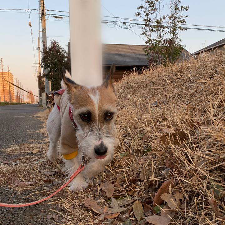 7692d914 c159 4c29 a6da c1fa4fc2a38c 1613905101672