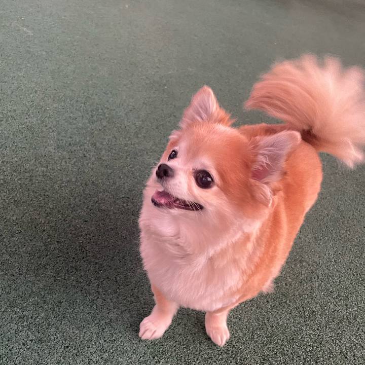 7692e324 52ab 4347 bfab 13c1b4f629ea 1761921250170