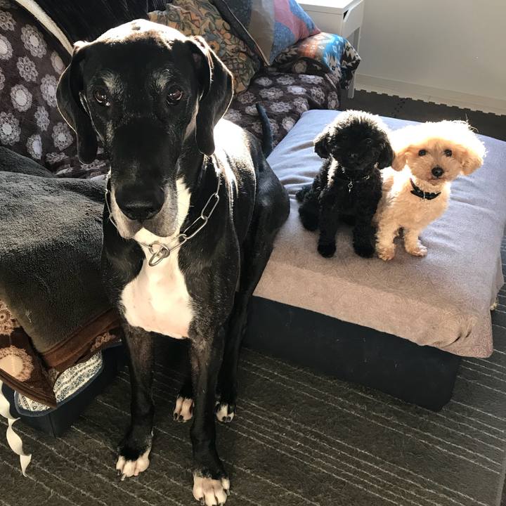 7692fd0c 310e 4af8 8b08 9420417d0793 1513810511028