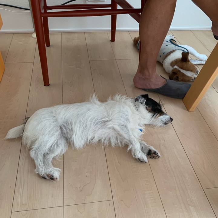 76938d8a 3d6d 4b12 8bcd 1ee1edf4447a 1632275098892