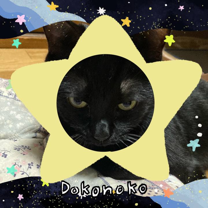 7693b8de 7954 4318 ad8a f88591b5da18 1720785974731