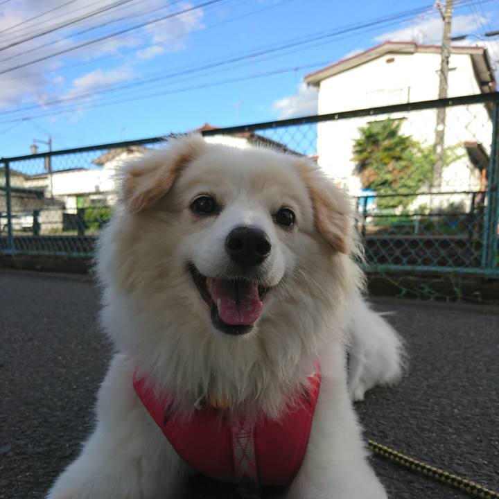 7693d09b b3de 4d53 9263 cdf066a2ad1f 1533850742316