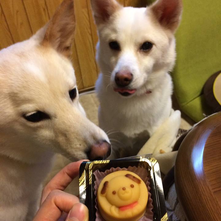 7693f6d4 7eae 41eb 8788 1b4cb07a5f04 1514806705940