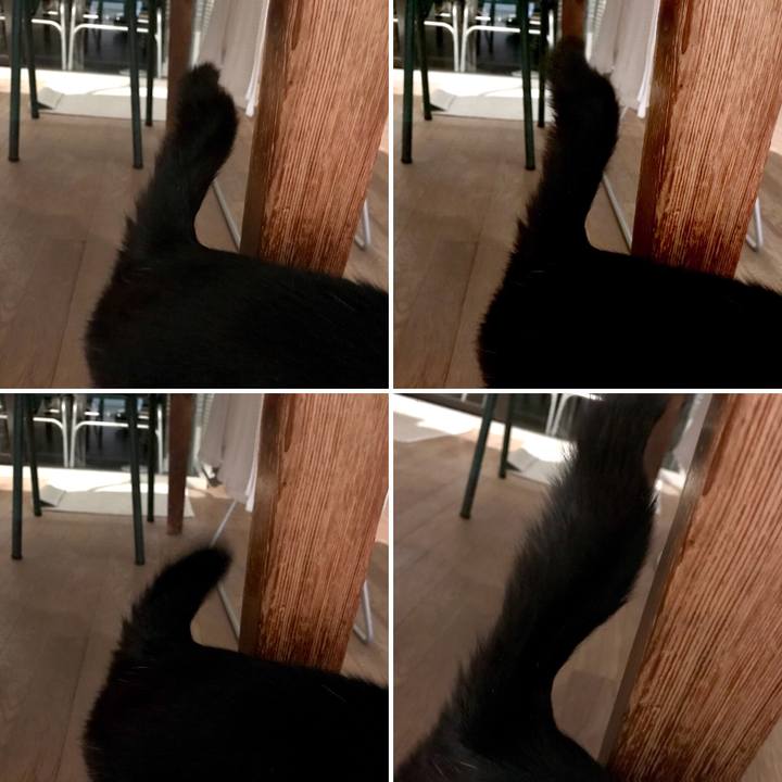 76942364 9a20 4234 8393 60f8409e794a 1519947912129