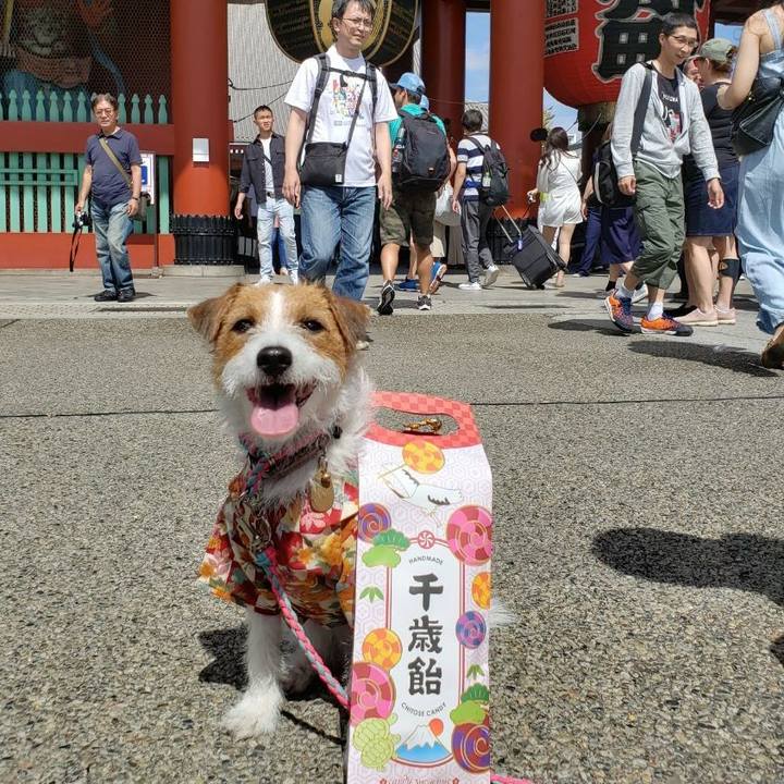 7694c1f7 f1db 4f11 933f 2c7f2aaa9c08 1573736155291