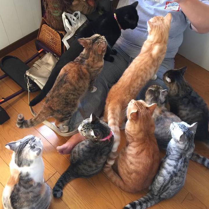 7694d0b9 fe3b 43e0 86ae 3fcf9557d349 1571460151521