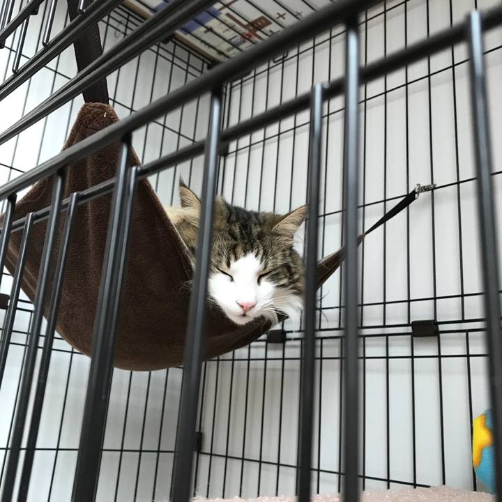 769501d8 c959 45f5 8989 955239c17ab9 1530834504649