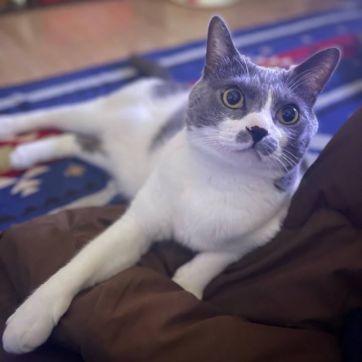 769513e7 ac29 4fb8 acae 20cb3dd2b146 1673736279887