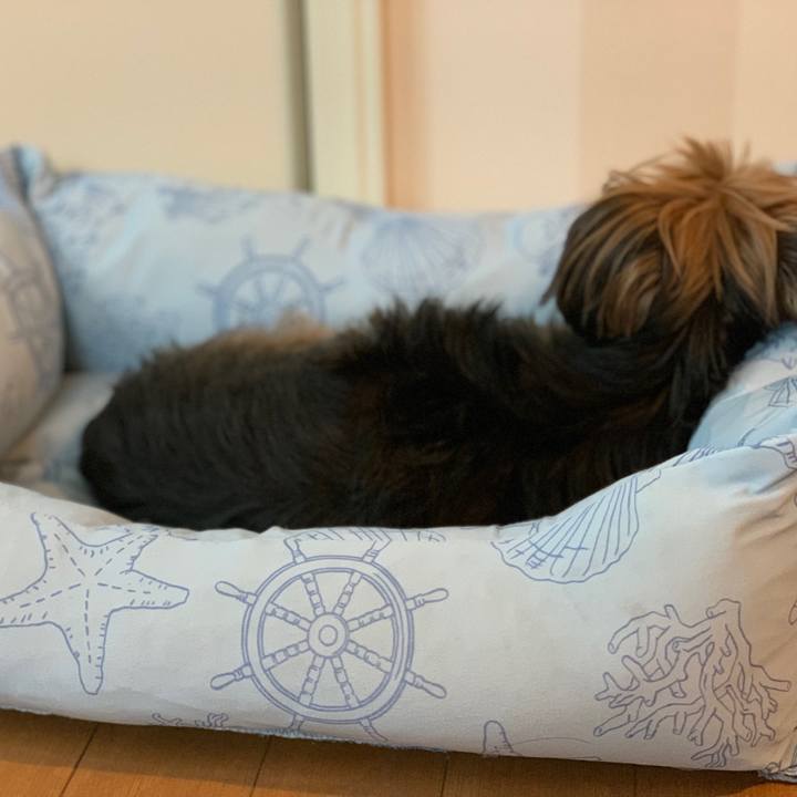 7695d4e7 6bd8 41ed b138 0c6e23f8a2cd 1624268291233