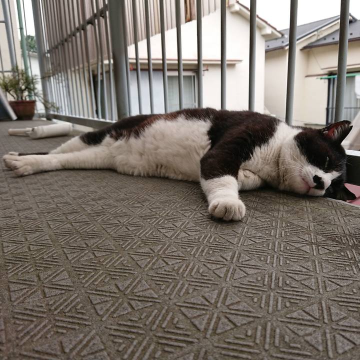 7695f0bb 0514 4576 b1fb 18866082554b 1559449742552