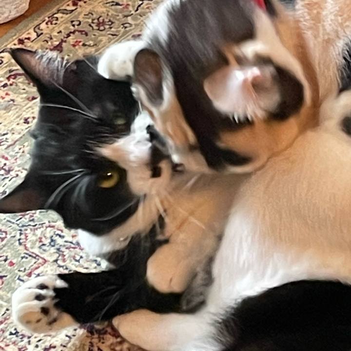 769664b7 b358 45ff bd7e 918529a9e294 1724303440430