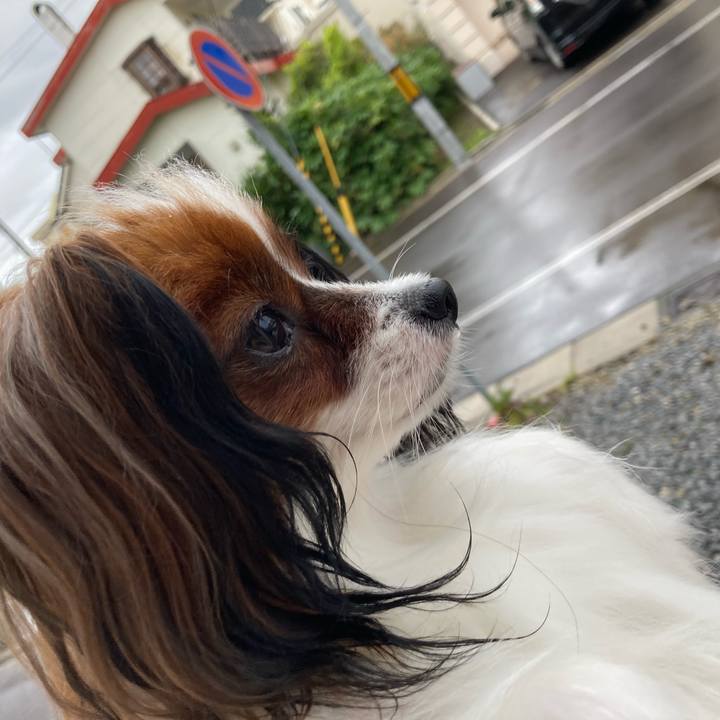 76972229 8c2a 4f7f ae98 a76db90013f1 1631924888293