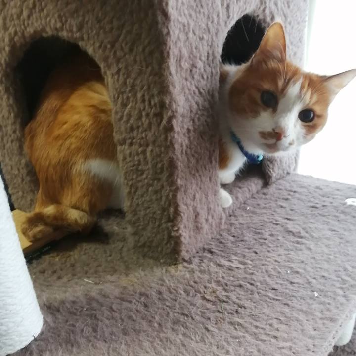 76973417 cd63 4ed1 9a12 2dfc35ded364 1654516049217