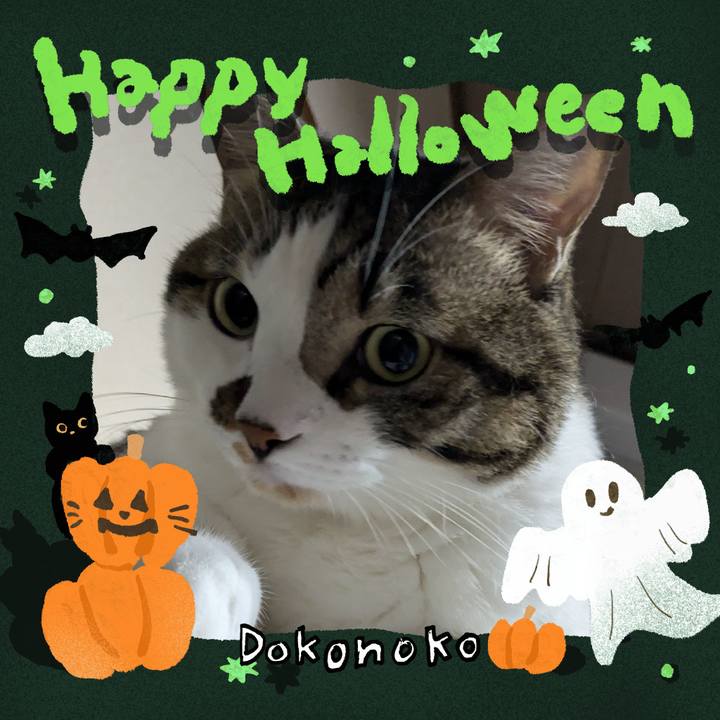 769760b7 2dfe 4498 aa49 3cc0738ebfdc 1729081868178