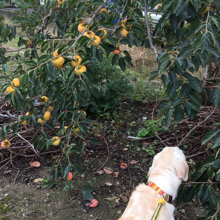 76978854 a5c5 4a5e abee 5f3804b19253 1539743855641