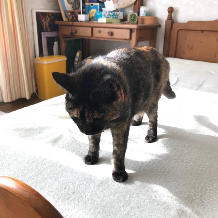 7697b41e acbe 4d64 ae57 37b7af4010f4 1516146798814