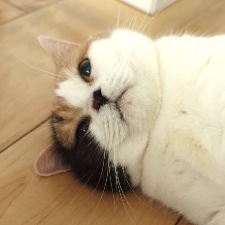 7697bc9d 1a9f 466f 9557 ebb6e907cdeb 1556716071340