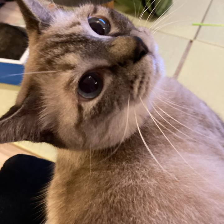 7697bf66 4e05 43b4 9b36 742427601c2c 1661239392013