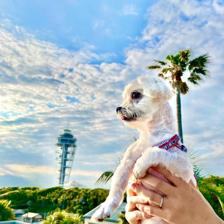 7697c54c e8d6 450d bc30 23a8511f40c3 1624355154651