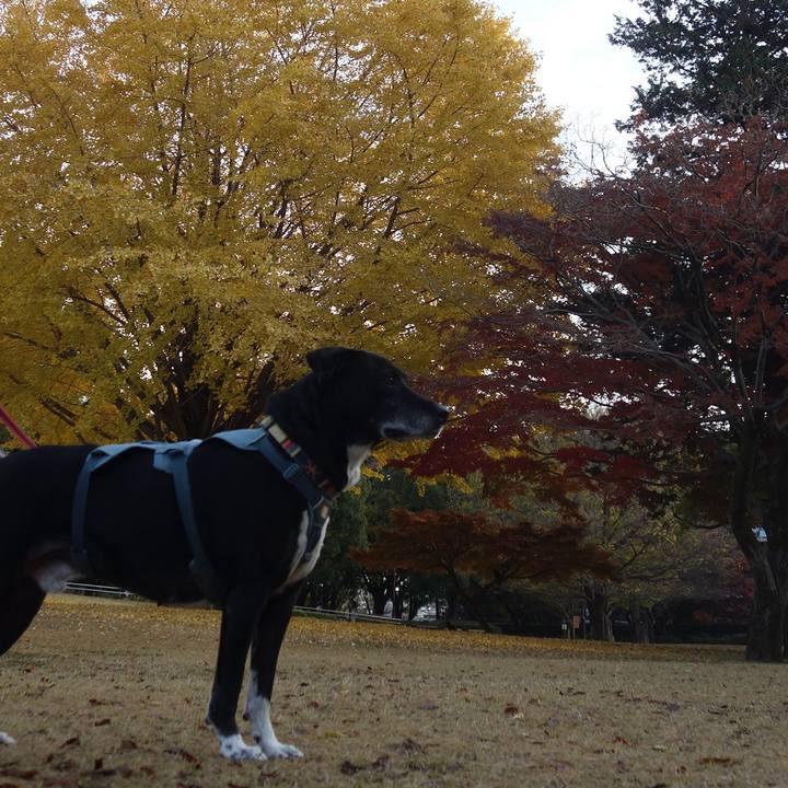 7697d459 cfd4 48de 9d55 241db8d2c875 1733273937181