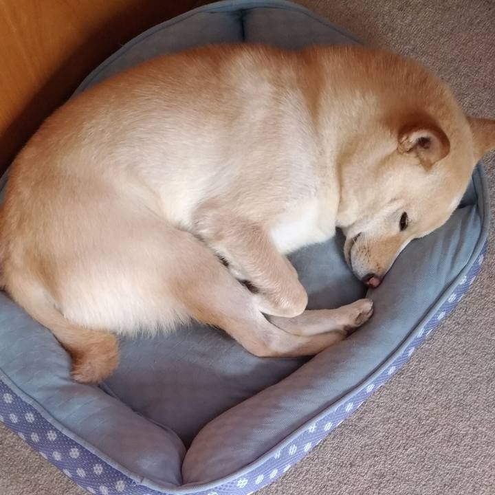 769803d1 5ab3 41e3 ad9e e2bd85166082 1570618537285