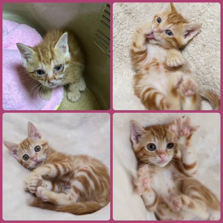 76986363 6086 4e11 9a38 da5cc05e677d 1651442394111