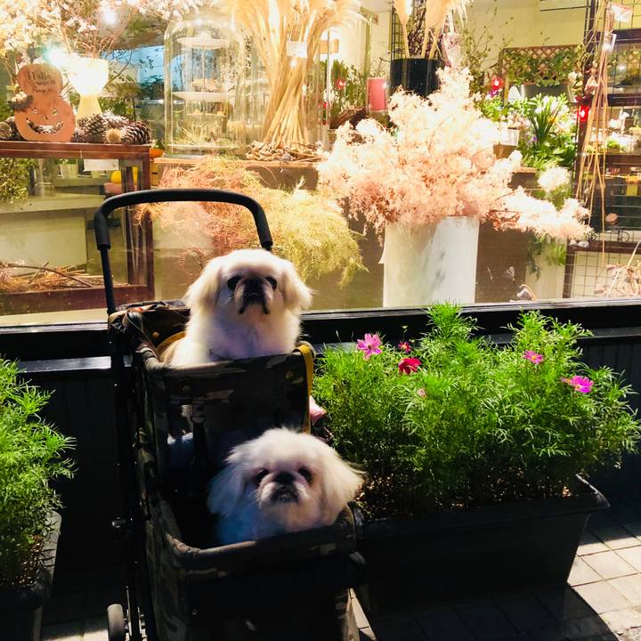 76986c7e 0381 416c aa08 ed72c7ae316e 1601328343506