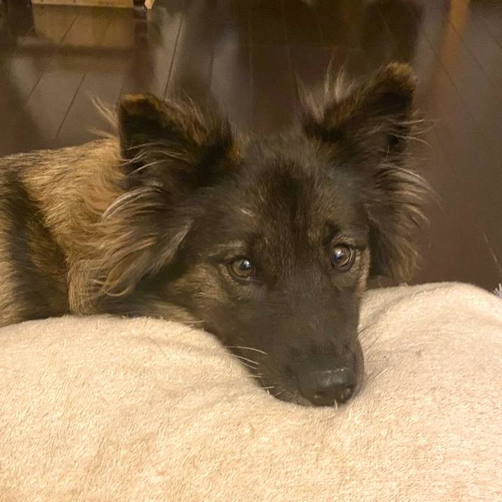 7698880a aa02 4aaa 987a f06ea13444ba 1756345617847