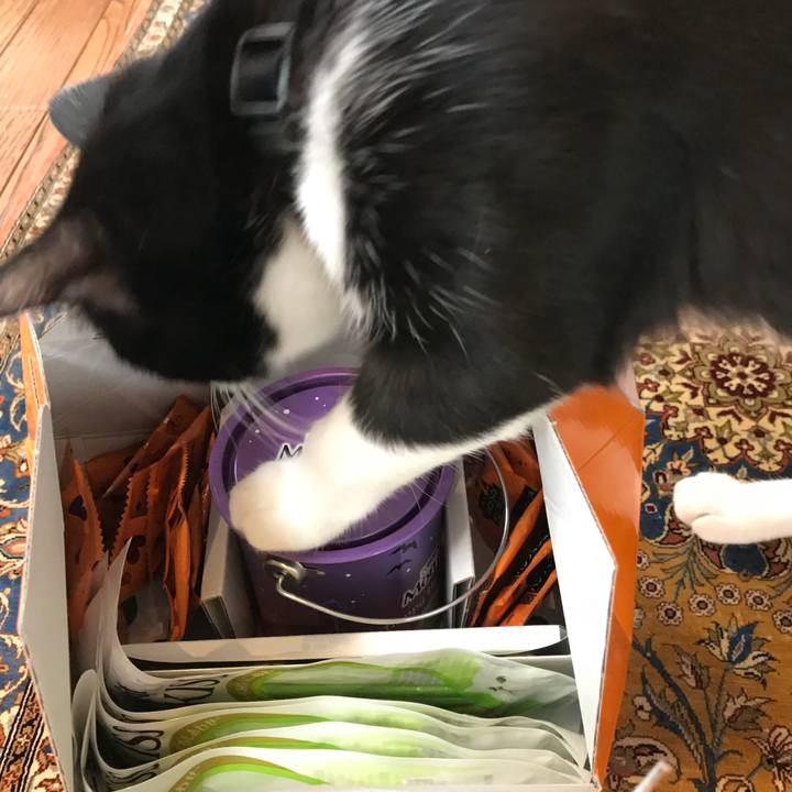 7698b095 4ab8 49c6 ae6a ad0c50d9e69d 1509426052247